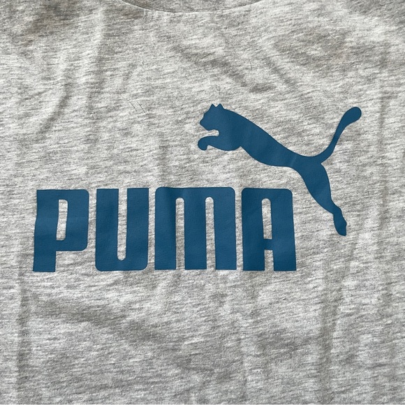 Puma Kids’ Gray Tee Shirt Sz 18-20 - Picture 2 of 9